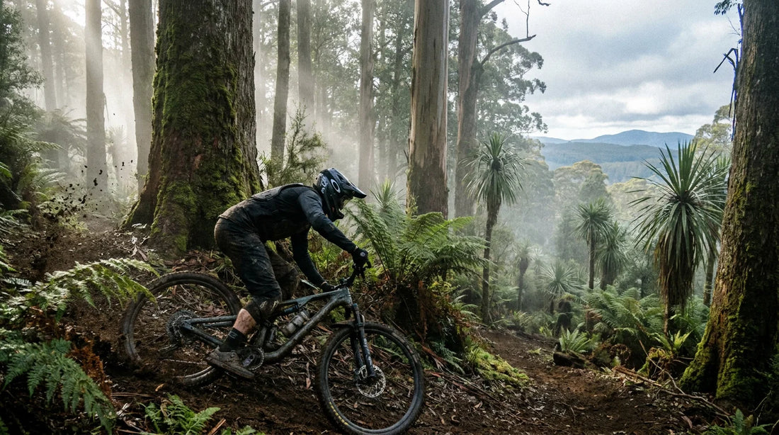 Mountain bike rider mid-corner ripping a loamy descent through ancient eucalyptus forest and Pandani palms at Maydena Bike Park in Tasmania during winter
