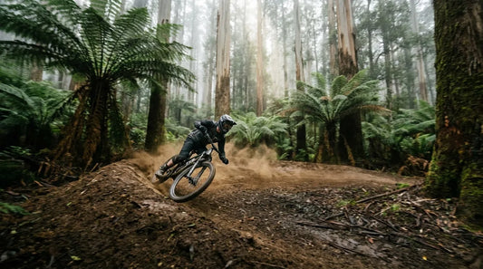 A mountain biker carving a massive dirt berm surrounded by giant green ferns and towering mountain ash trees in Warburton, Victoria.