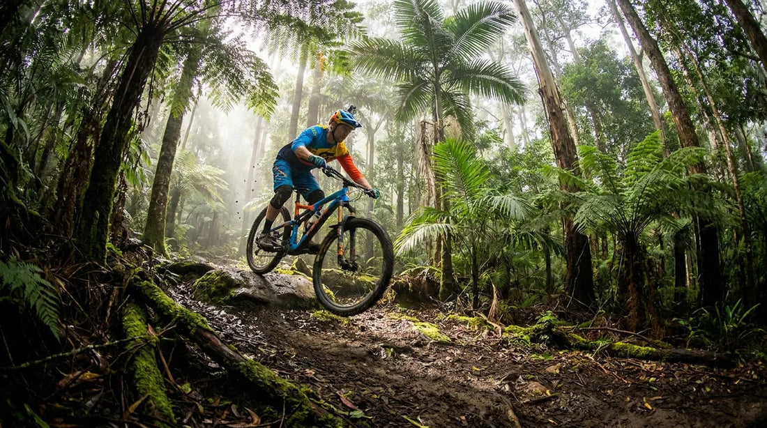 Jungle Upgrades & Winter Night Shred: The July Trail Report