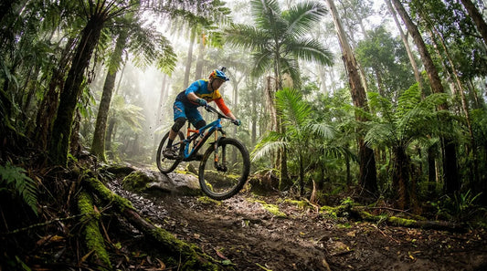 Jungle Upgrades & Winter Night Shred: The July Trail Report