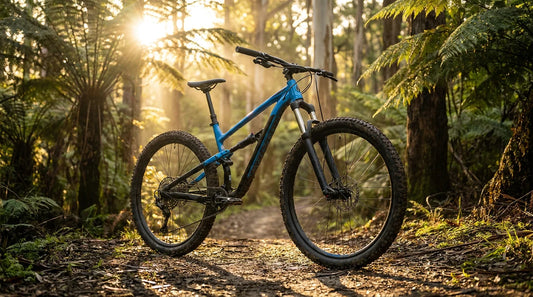 Polygon Siskiu D6 budget trail bike on a flowy trail