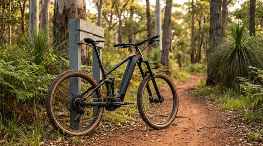 Stealth black full-suspension e-MTB leaning on a trail signpost in Australian eucalyptus bushland at golden hour