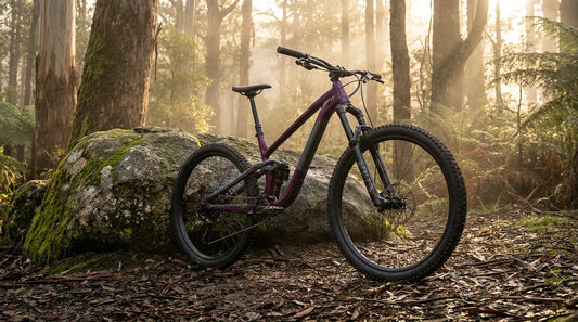 Matte plum purple Norco Sight A2 160 enduro mountain bike leaning against a moss-covered granite boulder in misty Australian alpine forest at golden hour