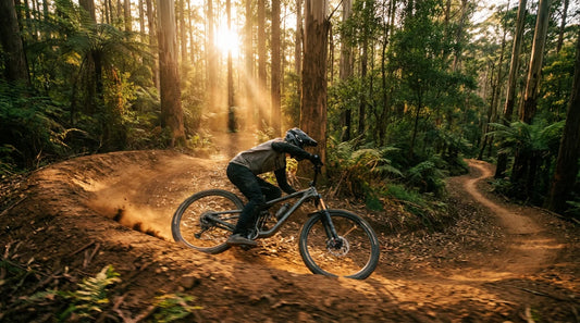 Warburton Just Levelled Up: 70km of Trails, Shuttle Uplift & Two New Bangers You Need to Ride